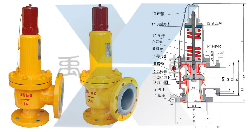 A42PFA-25C-DN100高溫襯氟安全閥(圖1)